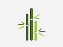 Green Bamboo Logo, vector illustration Design