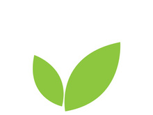 Leaf logo vector icon design template