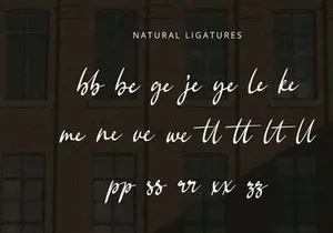Bellina - Handwritten Font