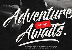 Weloghan - Handwritten Script Smooth Font