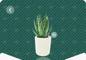 Plant Care App