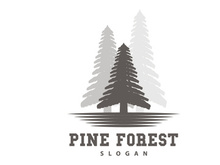 Forest Logo, Vector Forest Wood With Pine Trees Design