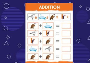 Addition with different birds for kids. An educational worksheet for kids. Vector design