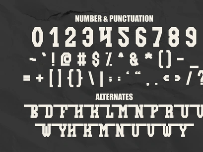 Funky Modern - Vintage Slab Serif