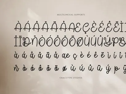 Joaguin Dignity | Monoline Script Font