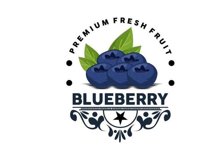 Blueberry Logo, Garden Farm Fresh Fruit Vector