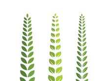 Logos of green Tree leaf ecology