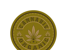 Mariuhana leaf symbol, marijuana or hemp icon, cannabis medical sign, weed drug vector illustration