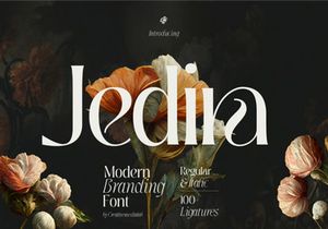 Jedira - Modern Branding Logo font