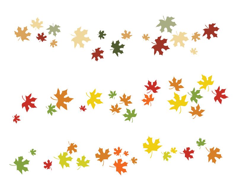 Maple Leaf design illustration