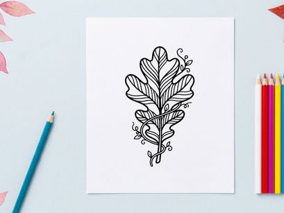 Ilustrasi botani terperinci dari daun ek. Gambar tanaman alami artistik untuk penggunaan pendidikan atau desain.