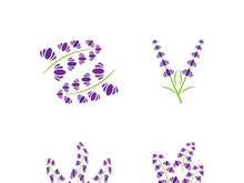Fresh lavender flower logo vector flat design
