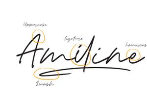 Amiline Handwritten Signature Font