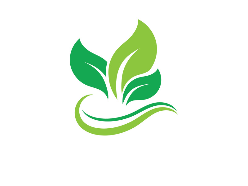 Nature leaf eco green logo icon