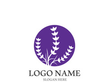 Fresh lavender flower logo vector flat design