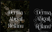 Angdiva | Display Serif Font