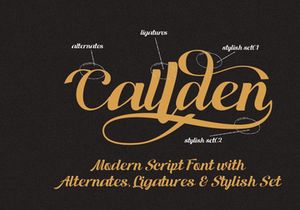 Ranup - Modern Script Font