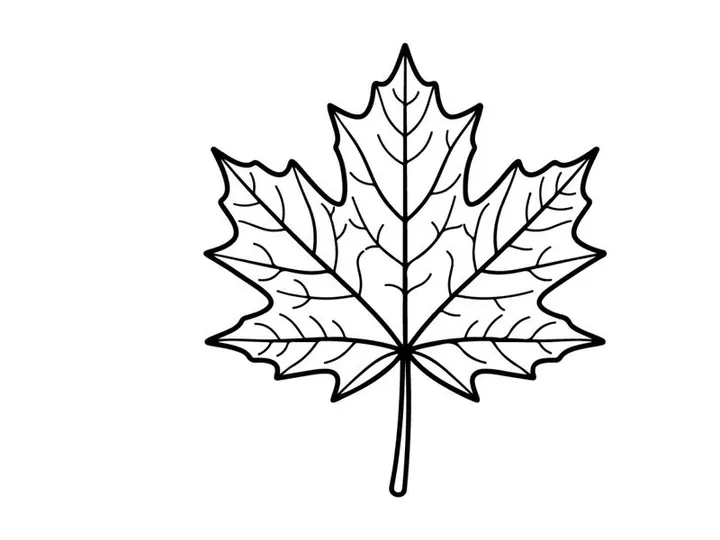 Ilustração detalhada de folha de bordo para projetos de natureza e botânica. Desenho elegante de folha para uso em design e educacional.