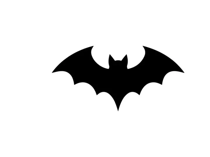 Silhouette eines Fledermaus mit ausgebreiteten Flügeln in Schwarz