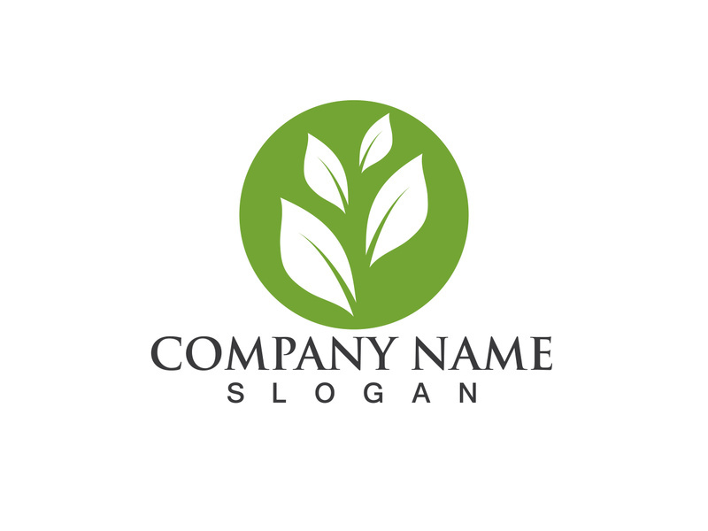 Green leaf logo Vector