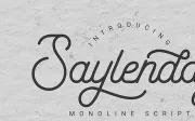 Saylenday Font