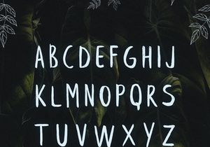 Beautify your text with leafy free brush font | EpicPxls