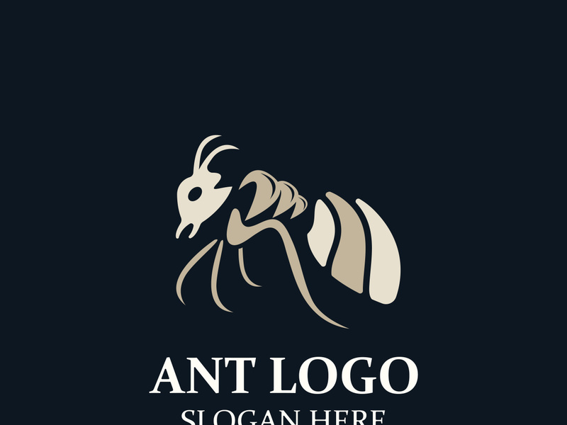 Ant logo design silhouette. Isolated animal ants on background design template vector Ant logo design silhouette. Isolated animal ants on background design template vector