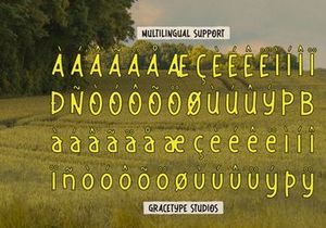 Dirello Meadow | Playful Hand Drawn