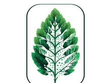 Leaf logo