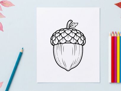 Hand-drawn acorn illustration for nature or autumn themes. Artistic sketch of a nut with detailed cap and leaf, suitable for educational or seasona...