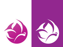 Butterfly logo icon vector design illustration