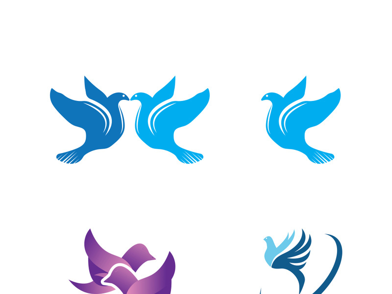 Dove bird logo vector design illustration