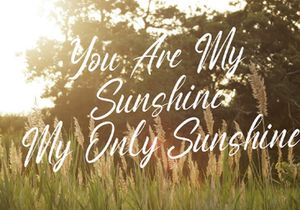 Anthony Louis - Modern Script Font