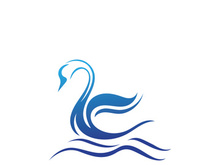 Swan logo Premium and symbol Vector