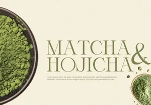 Orlington - Serif Font