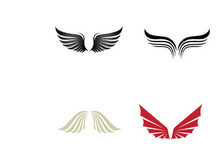 Wing Bird logo images illustration design