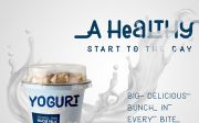 Black Burger Font Family