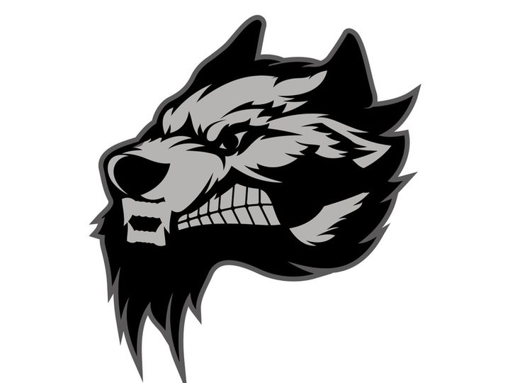Wings logo