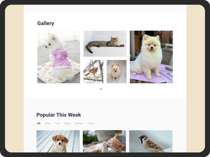 Pet Place - Pet Care Website Landing Page 3
