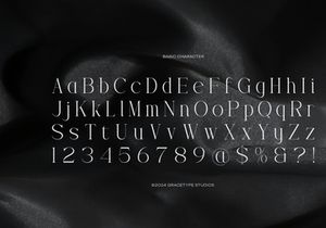 Trailogen | Display Serif Font