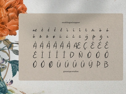 Single Whimney | Handwritten Script