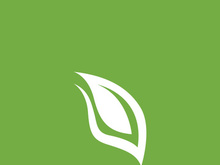 Leaf logo green nature vector image