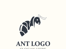 Ant logo design silhouette. Isolated animal ants on background design template vector Ant logo design silhouette. Isolated animal ants on background design template vector