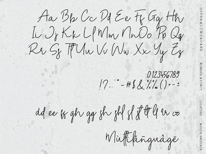 Wishloved Handwritten Script