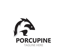 Porcupine logo design. animal vintage minimalist logo Hedgehog modern template icon