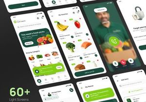 Groceria - Grocery App UI Kit with AI Grocery Planner