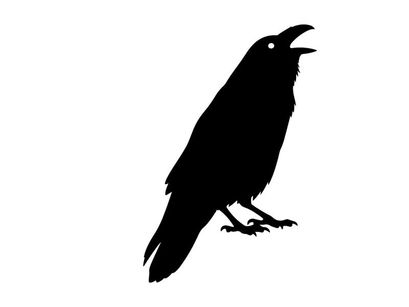 Silhouette of a black bird with open beak on white background