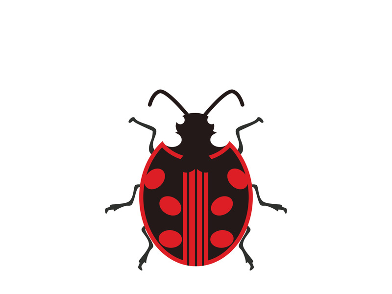 ladybird animal  vector logo symbol icon