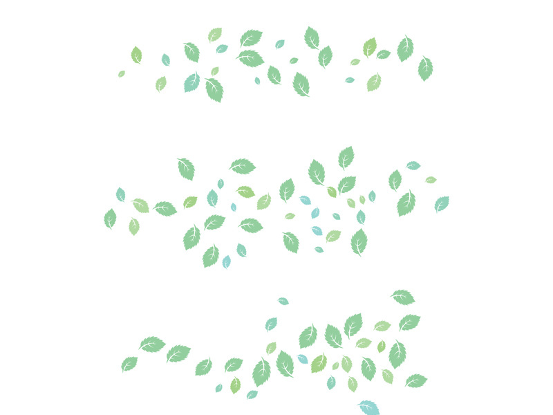 Mint Leaf icon template  illustration