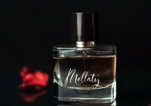 Haniquta | Beauty Calligraphy Script